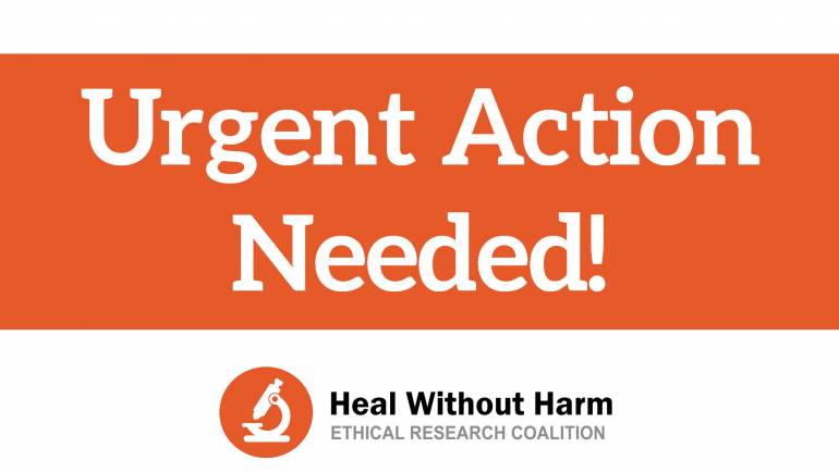 Action Alert: Call Your Legislator on Move to Kill the Heal Without Harm Initiative